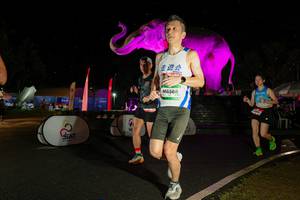 BIB: 
                            <button type="button" onclick="openModal(26542817)" class="btn btn-primary btn-sm float-right btn-popup" data-toggle="modal" data-target=".modal-high-quality">
                        <i class="fas fa-shopping-cart"></i> Add to Cart
                    </button>
                                            <button type="button" onclick="isThisMe(26542817, true)" class="btn btn-success btn-sm float-right btn-popup btn-isme hidden" data-toggle="tooltip" data-placement="bottom" title="นี่คือรูปของคุณใช่ไหม คลิกที่นี่เพื่อเอาเข้าอัลบั้ม">
                        <i class="fas fa-plus"></i> Add to album
                    </button>
                    <button type="button" onclick="isThisMe(26542817, false)" class="btn btn-warning btn-sm float-right btn-popup btn-isnotme hidden">
                        <i class="fas fa-ban"></i> Remove from album
                    </button>